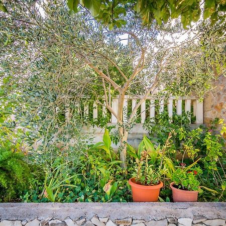 Cheap Apartment Tanja Trogir Exterior foto